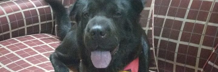 MoniMendieta2's profile banner image