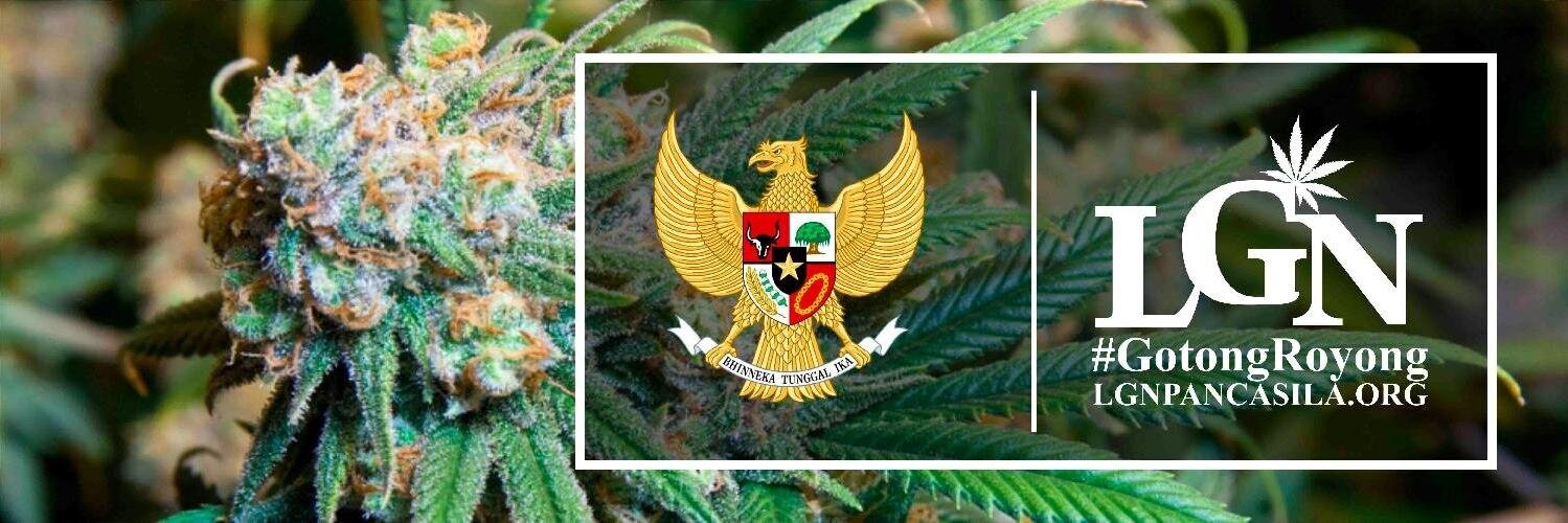 LGNbpn's profile banner image