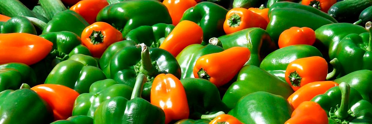 Alimentlaxante's profile banner image