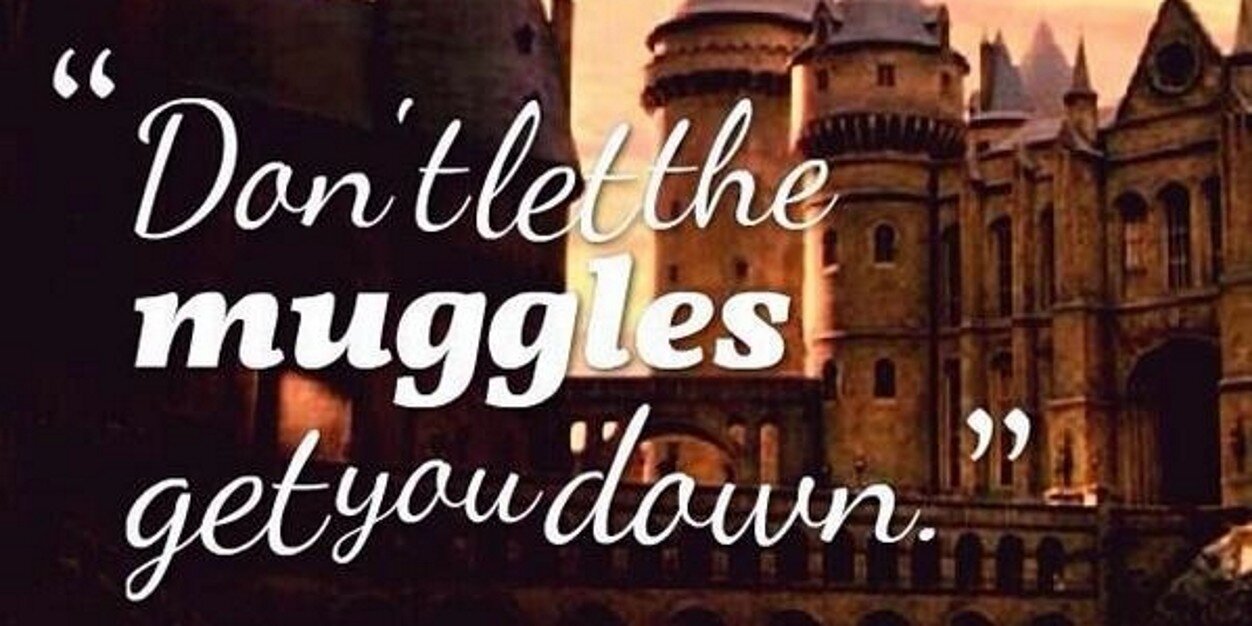 candicehogdr's profile banner image