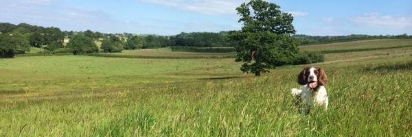 HollyEggleton Profile Banner