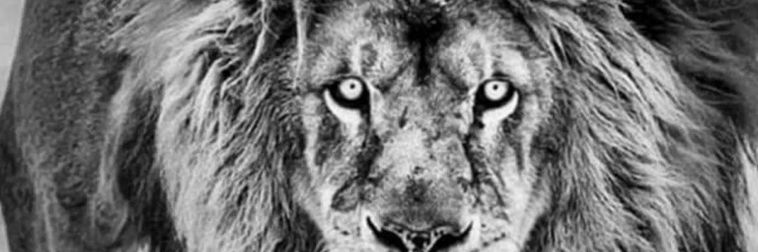 General_Odza's profile banner image