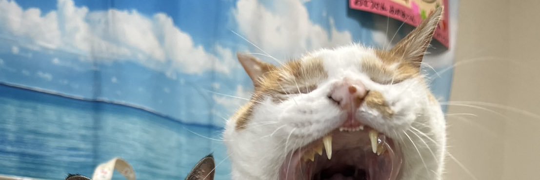 megum20's profile banner image
