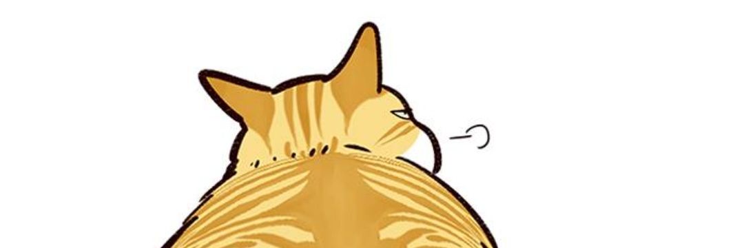 Dariruuuu's profile banner image