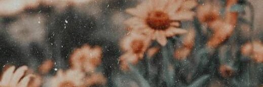 _fxnciful's profile banner image