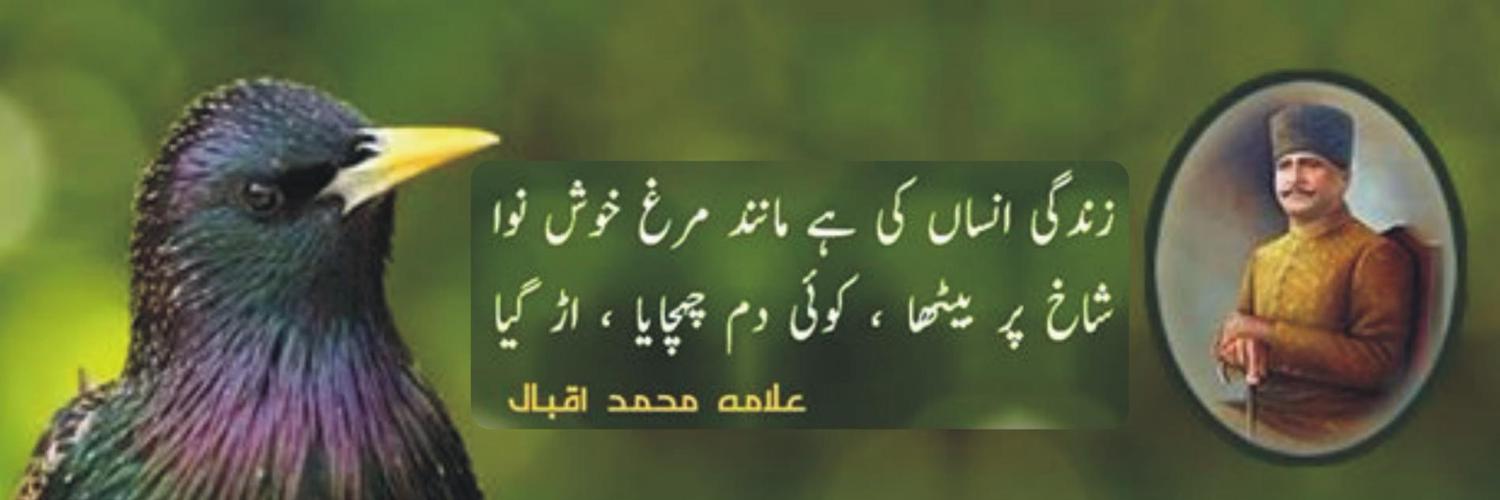Asadullah169's profile banner image