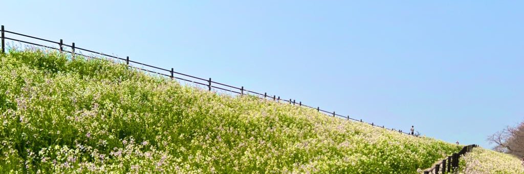 奥畑 幸典 banner