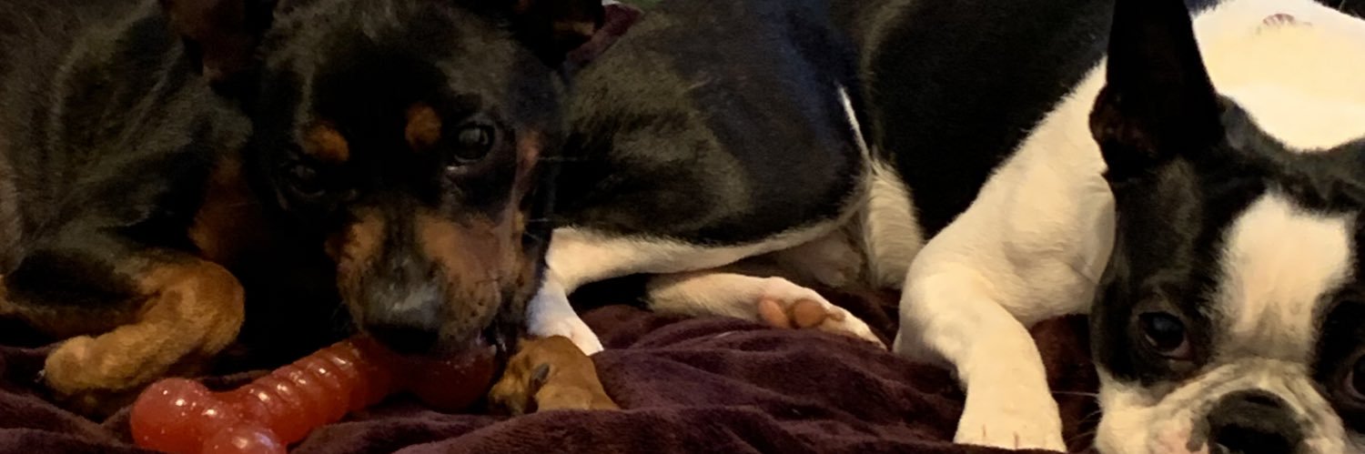 LisaPeabody5's profile banner image