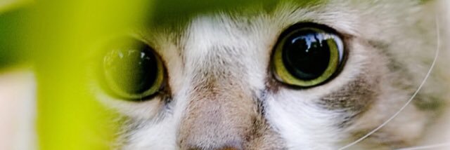 izuminzu's profile banner image