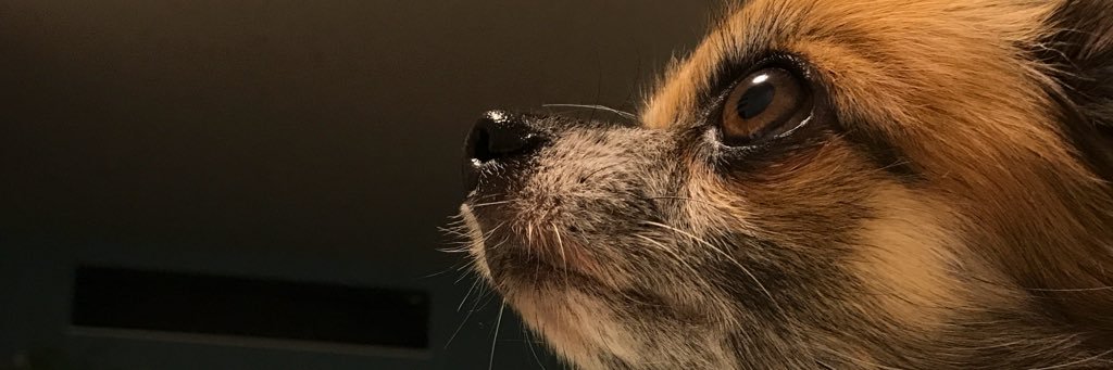 defnamu's profile banner image