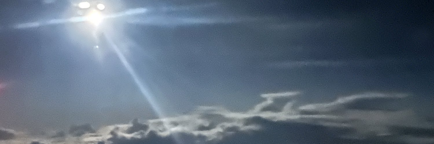mgordojulia's profile banner image