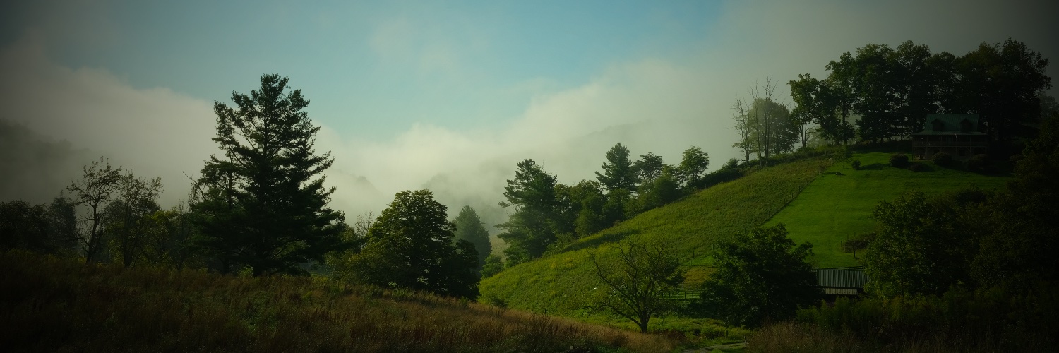 ckdish's profile banner image