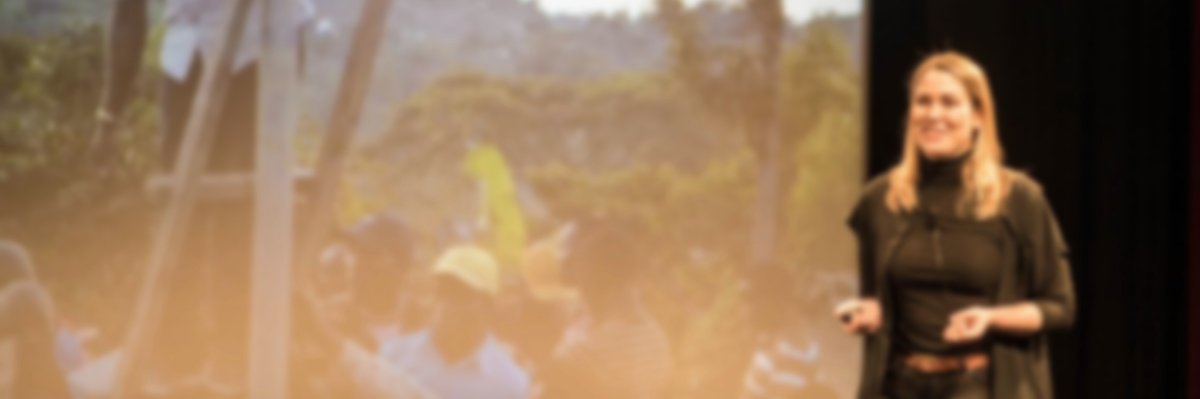 westerbergae's profile banner image
