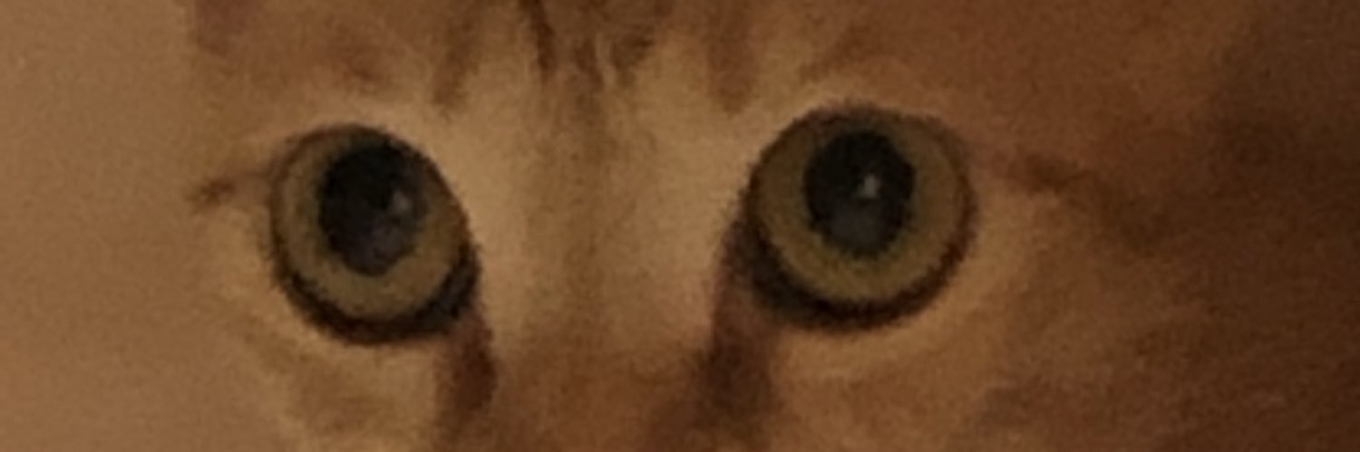 simanntyu1013's profile banner image