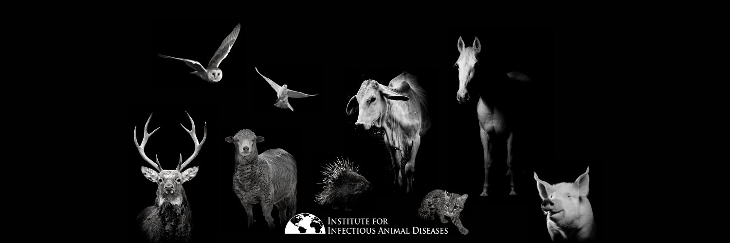 IIADAgriLife's profile banner image