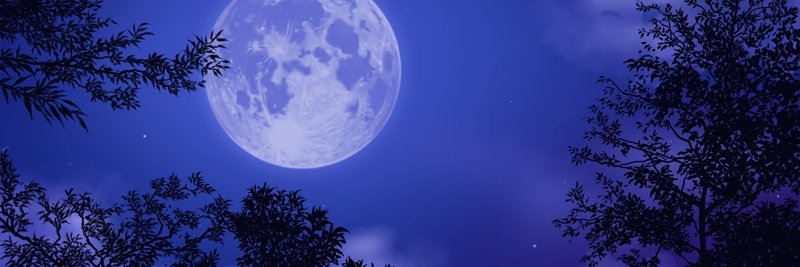 liunajiang's profile banner image