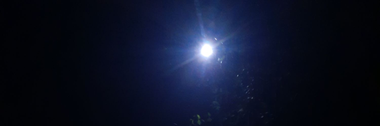 rigeldesyano's profile banner image