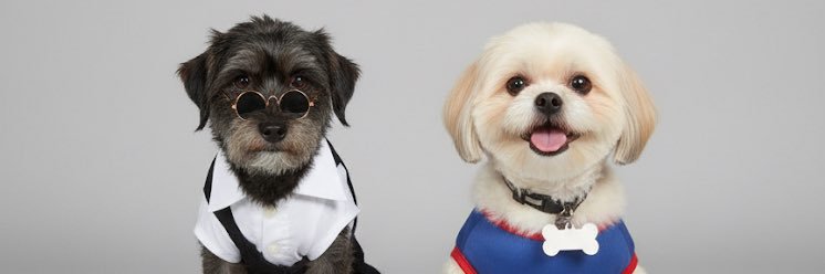 winnieroseee28's profile banner image