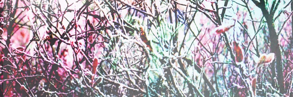 LouisBBurrows's profile banner image