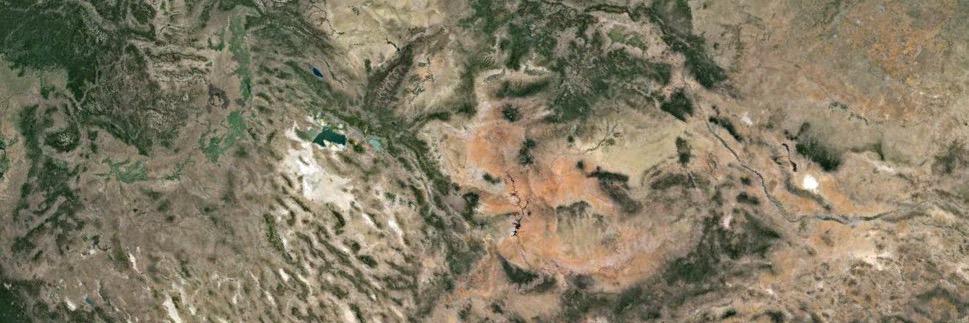 Michaela Buenemann banner