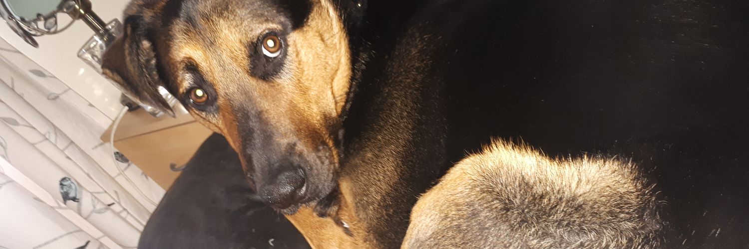 Hannakay3's profile banner image