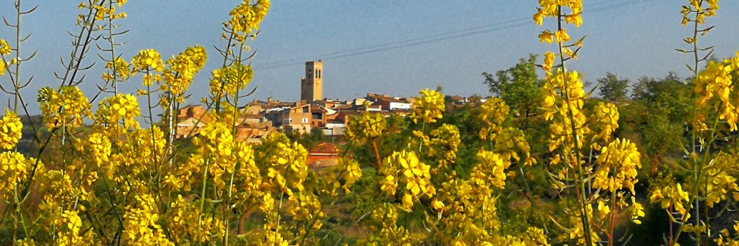farnersc's profile banner image