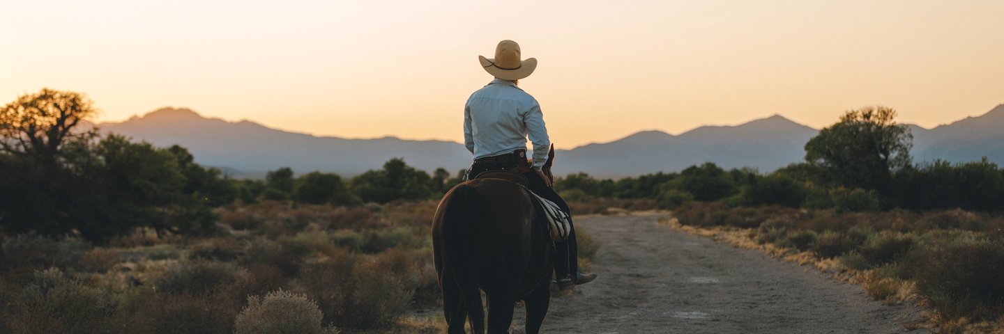 Steve Makowski banner