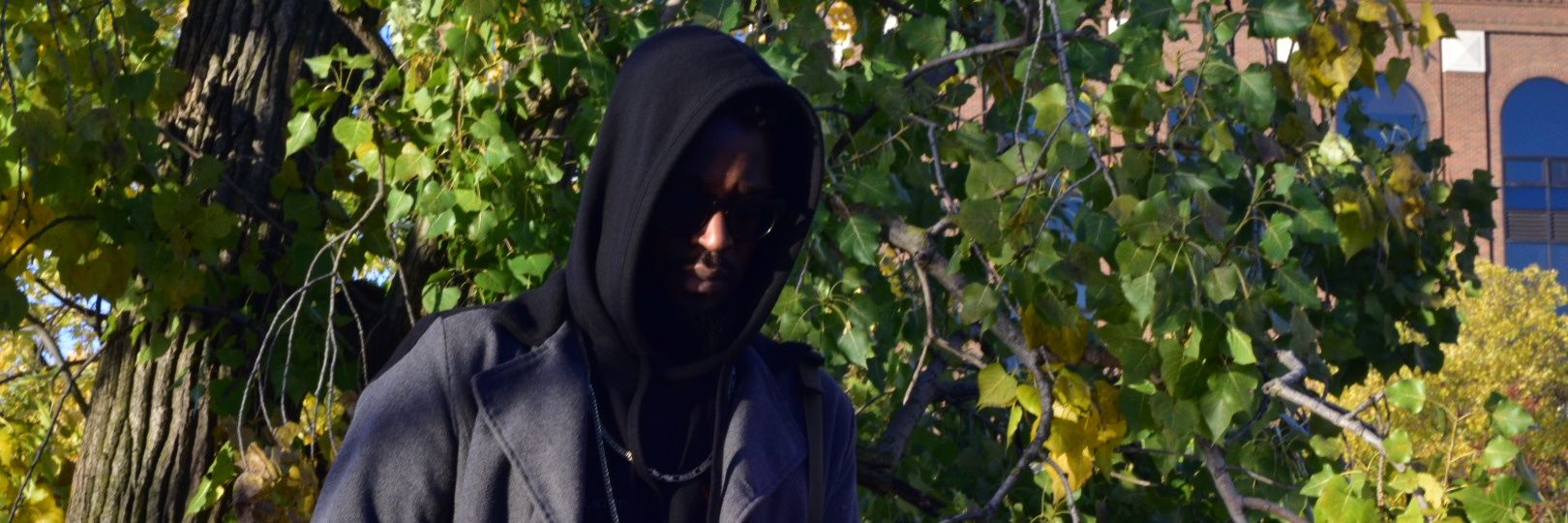 DanteCope#LesCréatif banner