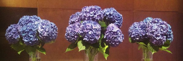 InBloomflws Profile Banner