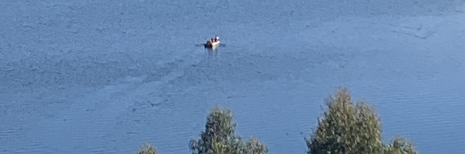 ALEJANDRA CABRA🇮🇱🇨🇴🇧🇪 banner