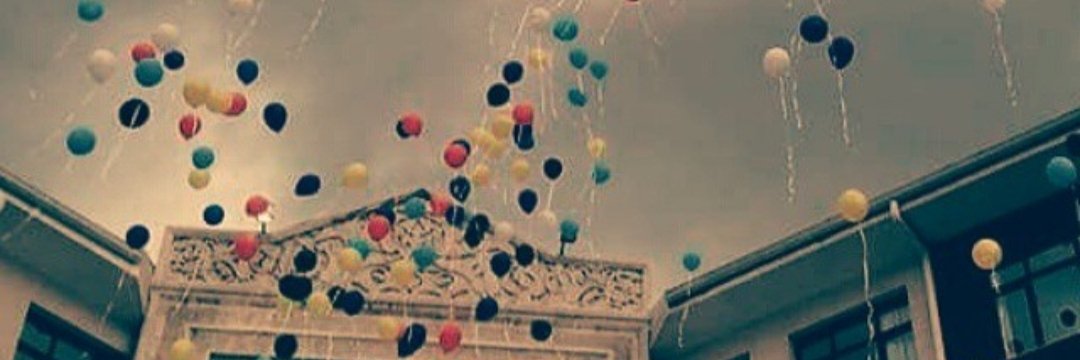 sevdekrr's profile banner image