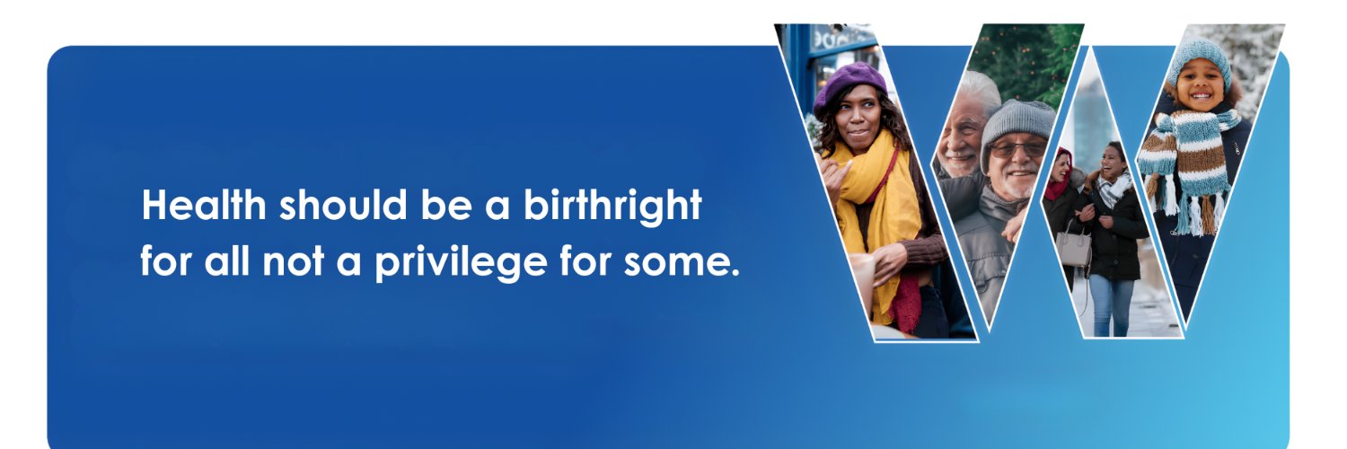 Wellesley Institute banner