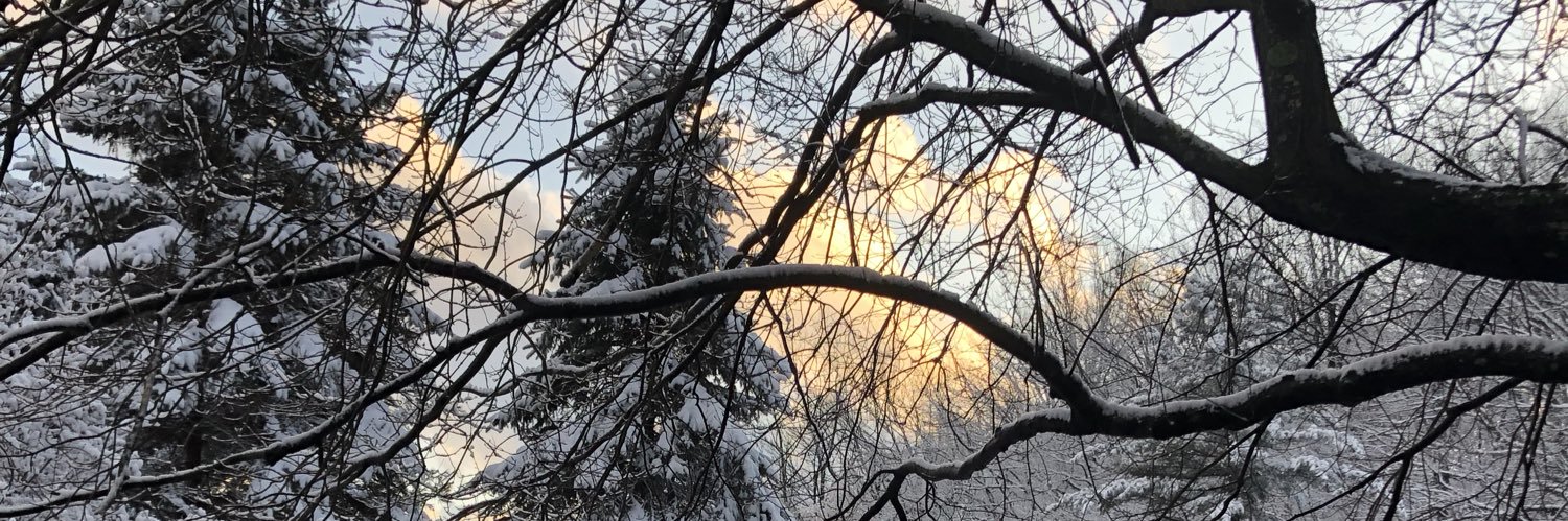 AndreaHoolan's profile banner image