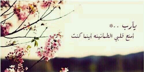 💎بلسم الروح💎 banner