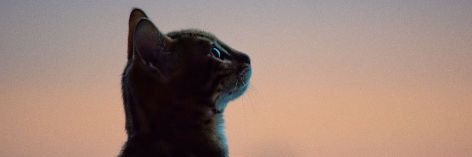 _Ceiros's profile banner image