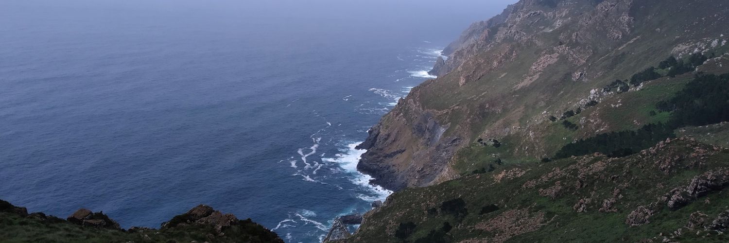 puntaiceberg's profile banner image