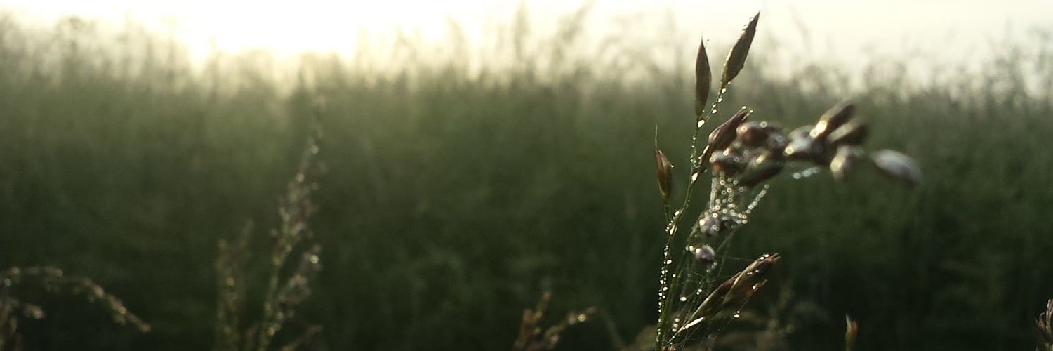 D3ADSPRITE's profile banner image