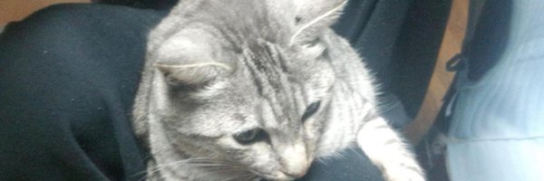 Gacha__Pin Profile Banner