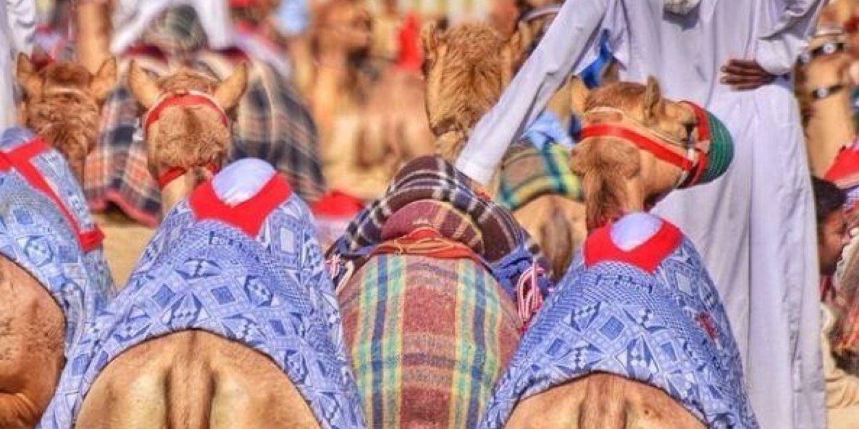 kh_alamrani's profile banner image