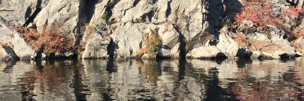 teach__collins Profile Banner