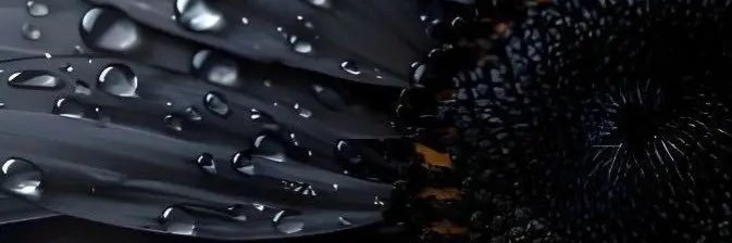 Deszie33's profile banner image