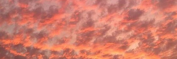 rebecaVilo's profile banner image