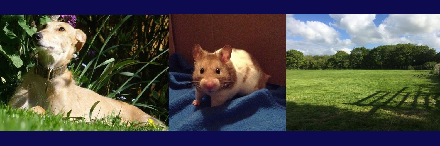 BarnfieldPetServices banner