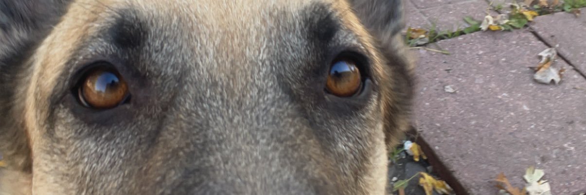 MRossero's profile banner image