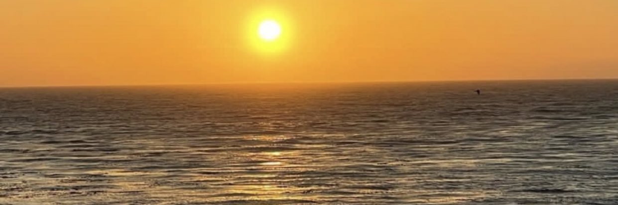 CS_laflare's profile banner image