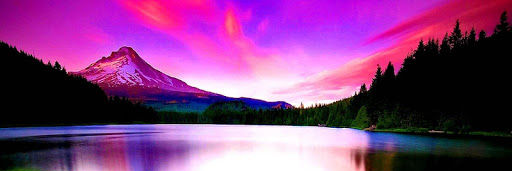 adeelakausar's profile banner image