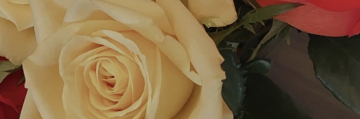 _ledeja's profile banner image