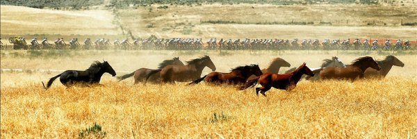 ugleaone Profile Banner