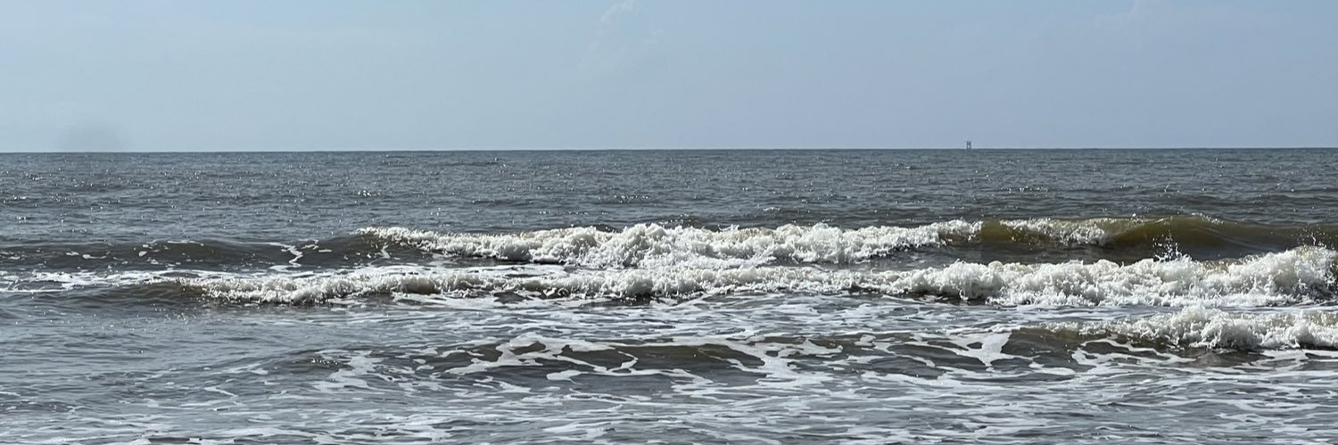 RachelFratto's profile banner image