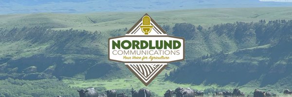 talkinaglane Profile Banner